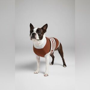 University Of Texas Pet Sweater Cozy Cats Dogs Size Small 9”-12” Burnt Orange